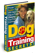 Dog Training Secrets to Barking